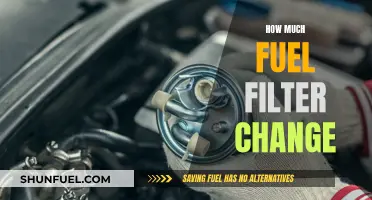 Fuel Filter Change: Cost and Frequency Guide