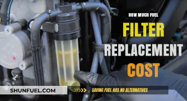 Fuel Filter Replacement: Cost and When to Change It