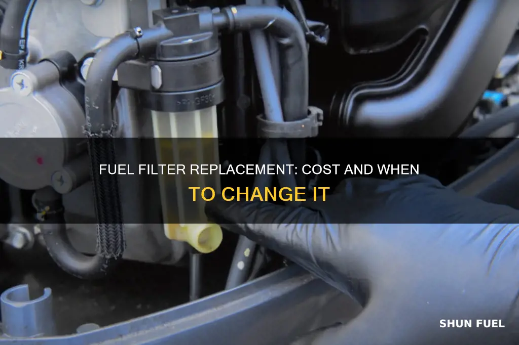 how much fuel filter replacement cost