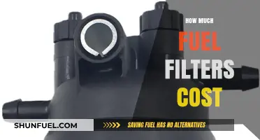 Fuel Filter Costs: How Much Do They Cost to Replace?