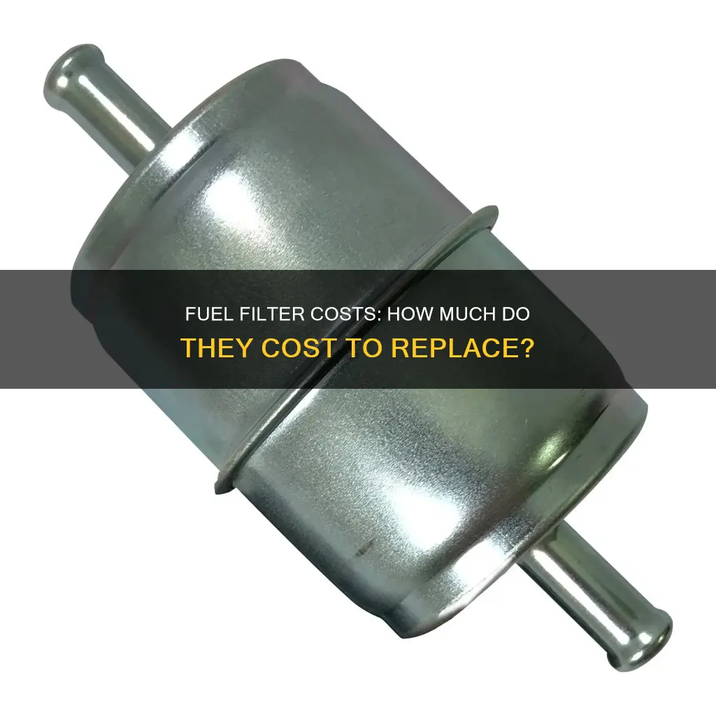 how much fuel filters cost