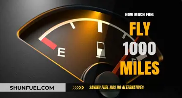 Fuel Consumption for a 1000-Mile Flight