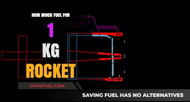 Exploring Rocket Fuel Efficiency: 1kg Payload, How Much Fuel?