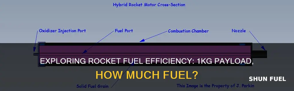 how much fuel for 1 kg rocket