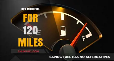Fuel Consumption: 120 Miles and How Much Gas You'll Need