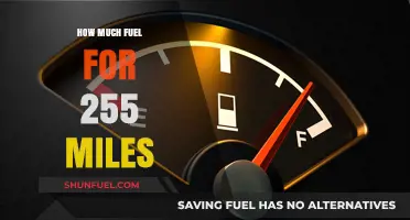 Fuel Consumption: 255 Miles and How Much Gas You'll Need