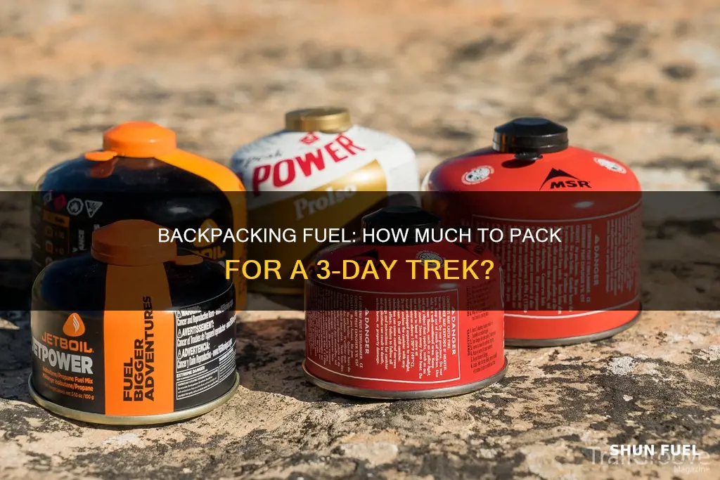 how much fuel for 3 day backpacking