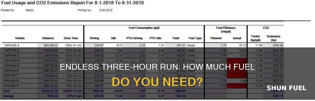 how much fuel for 3 hour run