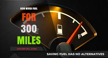 Fuel Consumption: 300 Miles and How Much Gas You'll Need