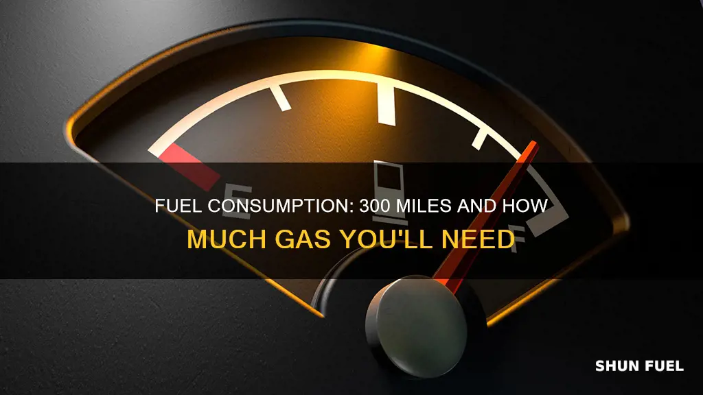 how much fuel for 300 miles