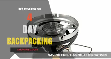 Backpacking Fuel: How Much to Pack for Four Days?