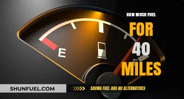 Fuel Efficiency: 40 Miles and Fuel Consumption