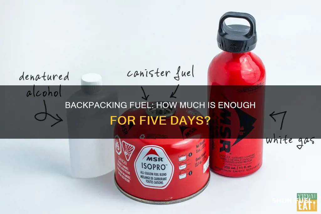 how much fuel for 5 days backpacking