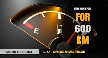 Estimating Fuel Requirements: 600km Journey