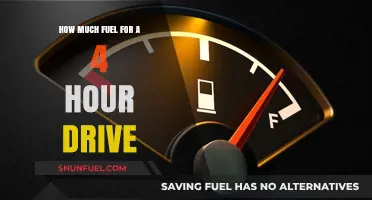 Fuel for the Road: Planning a 4-Hour Drive