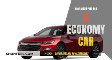 Fuel Efficiency: Economy Cars and Their Fuel Requirements