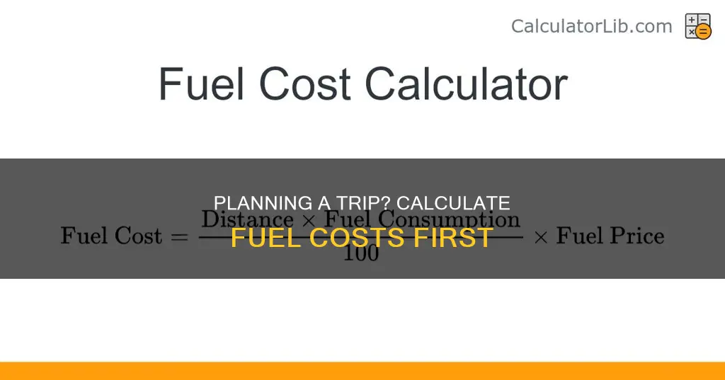 how much fuel for a trip