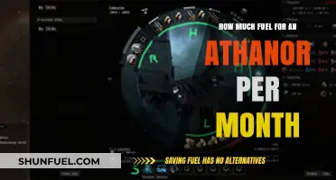 Athanor Fuel Consumption: Monthly Costs and Considerations