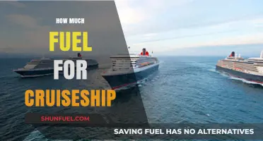 Cruise Ship Fuel Efficiency: How Much is Too Much?
