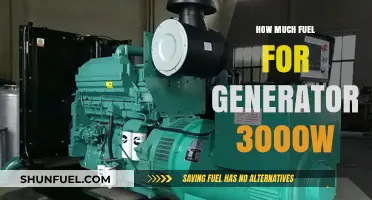 Fuel Consumption for 3000W Generators: How Much is Needed?