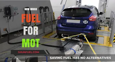 Fuel Efficiency: MOT Test and Cost