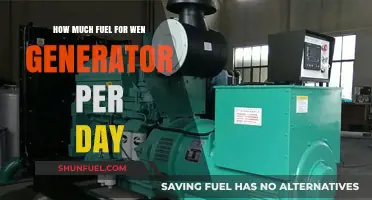 Fuel Consumption: Wen Generator's Daily Usage