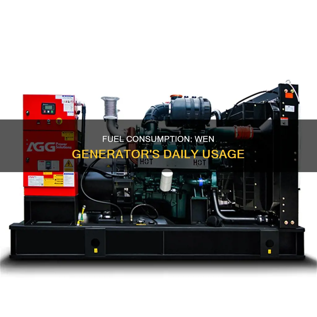 how much fuel for wen generator per day