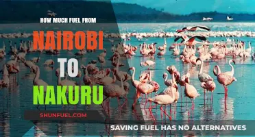 Fuel Consumption Nairobi-Nakuru: How Much Gas Do You Need?
