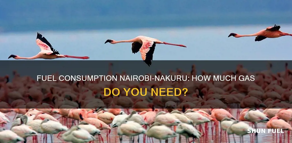 how much fuel from nairobi to nakuru