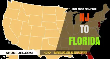 Fuel Consumption for a Road Trip to Florida from New Jersey