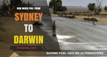 Fuel Consumption Sydney to Darwin: How Much Gasoline?