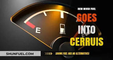 Fuel Efficiency: Cerruis' Consumption Secrets