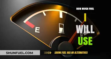 Fuel Consumption: Estimating Your Usage