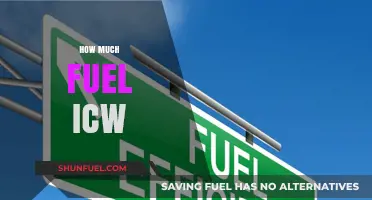 Fuel Efficiency: How Much is Too Much?