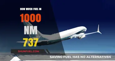 Fuel Efficiency: 737 Range and Consumption