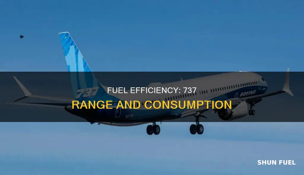 how much fuel in 1000 nm 737