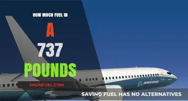 Fuel Capacity of a 737: Understanding the Poundage