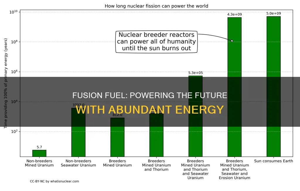 how much fuel in a full scale fusion reactor
