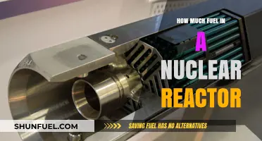 Nuclear Reactor Fuel: How Much Is Enough?