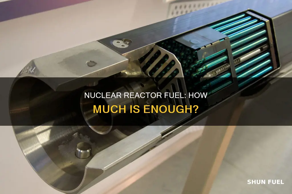 how much fuel in a nuclear reactor