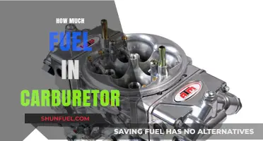 Carburetor Fuel: How Much is Too Much?