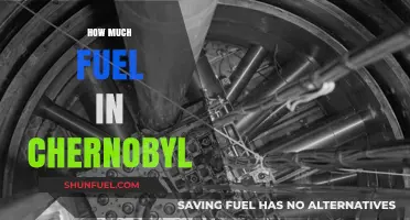 Fuel at Chernobyl: A Lethal Legacy