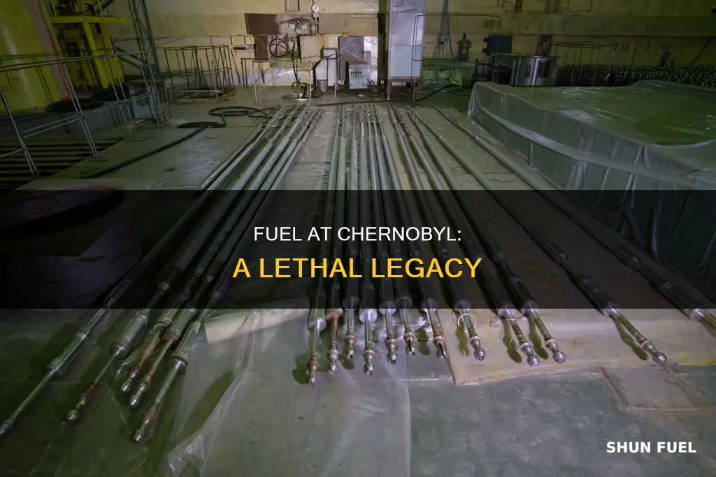 how much fuel in chernobyl