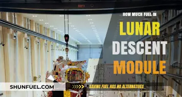 Lunar Descent Module: How Much Fuel is Enough?