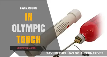 Olympic Torch: How Much Fuel Does It Take to Burn?