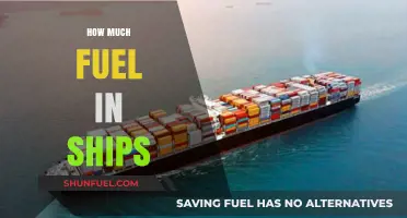 The Fuel Consumption of Ships: How Much?