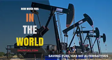 The World's Fuel Supply: How Much is Left?