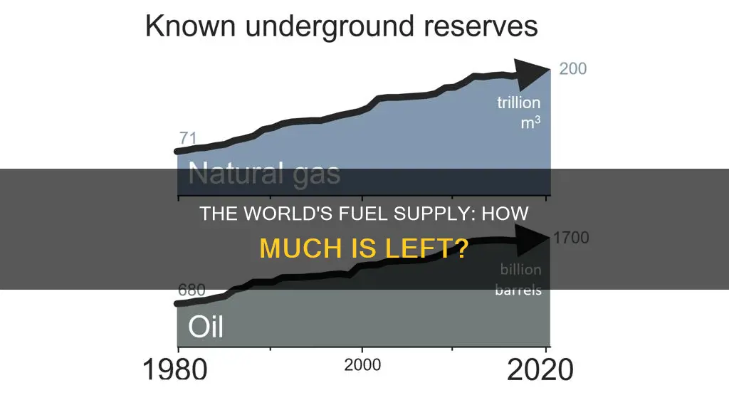 how much fuel in the world