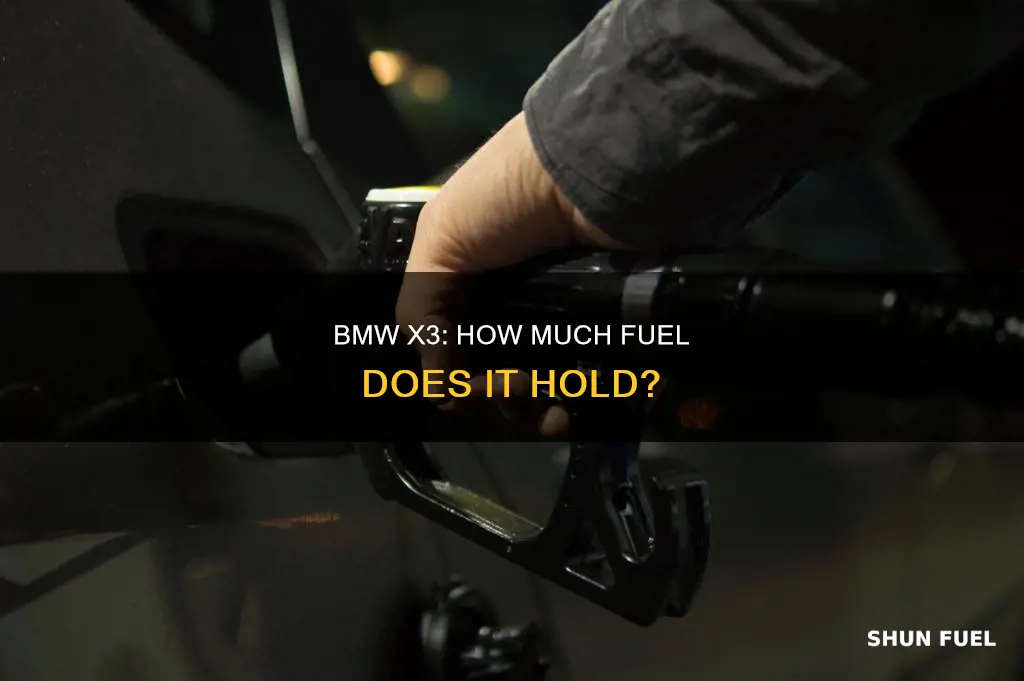 how much fuel in x3 hold