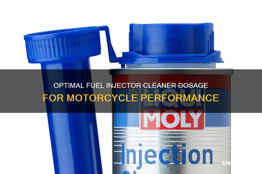 how much fuel injector cleaner to use in motorcycle